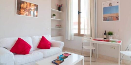 RENTAL AVAILABLE IN THE HISTORIC CENTRE -MALAGA CENTRE