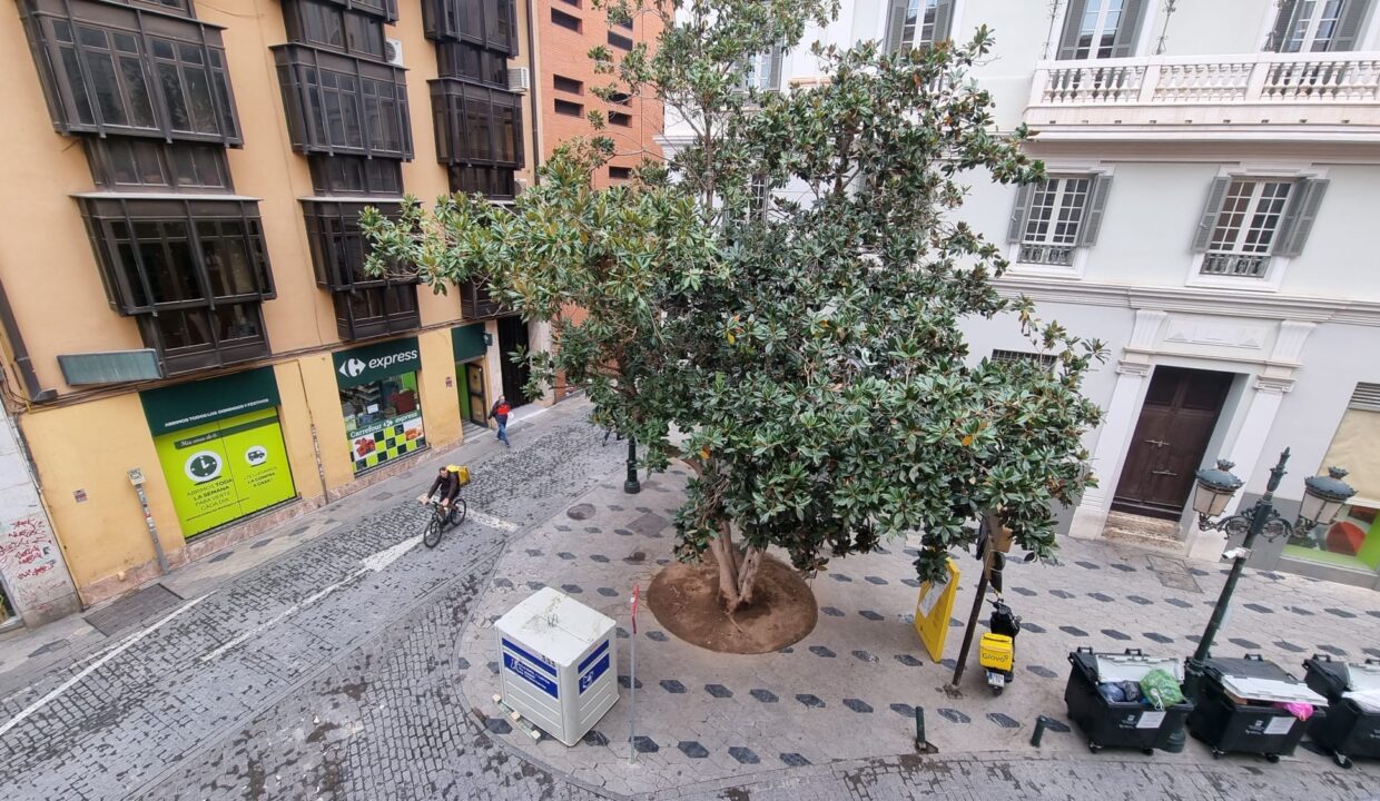 5591e258-12ee-4fce-aa69-5dbfbe3facc8